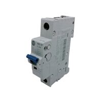Allen-Bradley 1492SPM1C250 Supplementary Protector 25 Amp