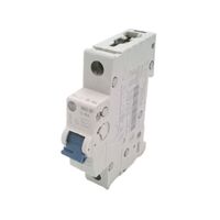 Allen-Bradley 1492SPM1C150 Supplementary Protector 15 Amp