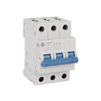 Allen-Bradley 1492SPM3D400 Supplementary Protector 3 Pole 40 Amp