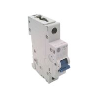 Allen-Bradley 1492SPM1C150 Supplementary Protector 15 Amp