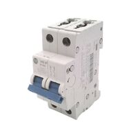 Allen-Bradley 1492SPM2B200 Supplementary Protector 2 Pole 20 Amp
