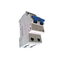 Allen-Bradley 1492SPM1C020N Supplementary Protector 2 Amp