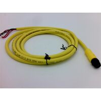 Allen-Bradley 889RM5AEA2 AC Micro Dual Key 5-Pin Straight Male PVC Cable