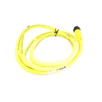 Allen-Bradley 889NU4AFC6F Mini Cable Male Straight 4 Pins