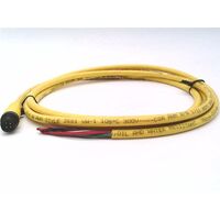 Allen-Bradley 889RM4AEA2 4 Pin Straight Male Cord Set 2M