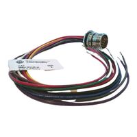 Allen-Bradley 888MM12AE1F M23 12 Pin Straight Male Receptacle