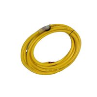 Allen-Bradley 889NL3AFA12F Mini Cable Female Right Angle Neon 3 Pin