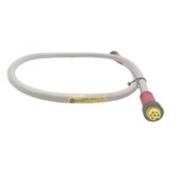 Allen-Bradley 889NF65GFNM1 Mini Cable Female Straight 5-Pins Control Power