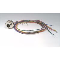 Allen-Bradley 888DM8AC80M5 DC Micro M12 Male 8-Pin Receptacle