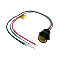 Allen-Bradley 888NM4AF11F Mini Straight Male 4 Pin Receptacle