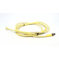 Allen-Bradley 889PF4ABPM2 PICO Cable 4 Pin Straight Male to Female