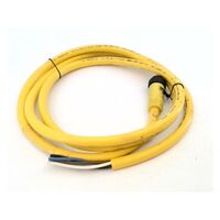 Allen-Bradley 889NU4AF6F Mini Cable Male Straight 4 Pins