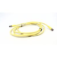 Allen-Bradley 889PF4ABPM2 PICO Cable 4 Pin Straight Male to Female