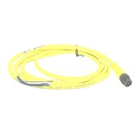 Allen-Bradley 889DM5AC2 DC Micro Cable Male Straight 5 Pins