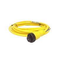 Allen-Bradley 889NF4AE12F Mini Plus 4-Pin Female Straight PVC Cable