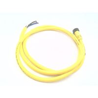 Allen-Bradley 889NF4AF6F Mini Cable Female Straight 4-Pin