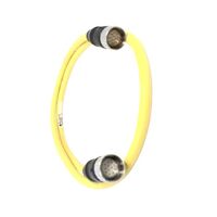 Allen-Bradley M23 12-Pin Straight Female to Male Cable