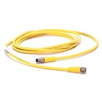 Allen-Bradley 889PF3ABPM2 QD Patchcord Pico M8 3-Pin 2 Meter
