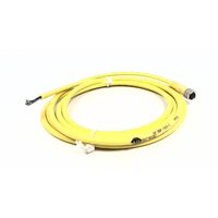 Allen-Bradley 889PF4UB2 PICO Cable Female Straight 4 Pins