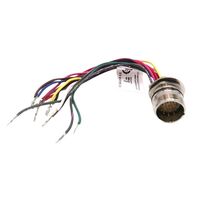 Allen-Bradley 888MM12AE0F5 M23 12-Pin Straight Male Receptacle