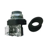 Allen-Bradley 800TQN25 30mm Pilot Light