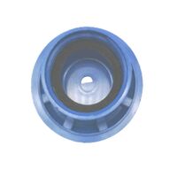 Allen-Bradley 800TN160C Blue Non-Illuminated Push-Pull Cap