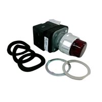Allen-Bradley 800TQBH2R 30mm Momentary Pushbutton Red LED