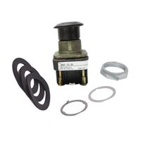 Allen-Bradley 800TFX2D4 Push Button
