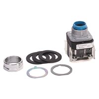 Allen-Bradley 800TFXTQ24XA1 Illuminated Push Button