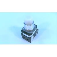 Allen-Bradley 800TCQBH2W 30mm Momentary Pushbutton with LED