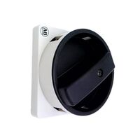 Allen-Bradley 194LHE8G175 Control and Load Switch