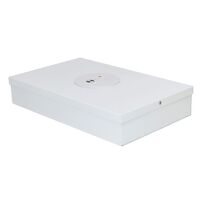 PREMIUM EMERG DOWNLIGHT SINGLE SM (Bardic Premium Emergency Downlight Single LED Surface Mount (White))