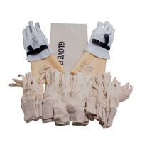 CLASS 0 INS GLOVE KIT 360MM S10 (Class 0 Ins Glove Kit 360Mm S10)