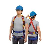 WEBBING HARNESS - LINESMAN - MED (WEBBING HARNESS - LINESMAN - MED)