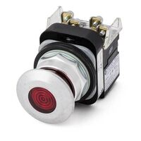 Allen-Bradley 800TCFXNQ10AA7 Illuminated Push Button