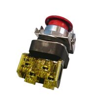 Allen-Bradley 800TCFXT6D4S Non-Illuminated Mushroom Head Pushbutton