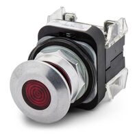 Allen-Bradley 800TCFXQ10RA1 Illuminated Pushbutton