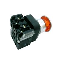 Allen-Bradley 800TCFXQH2AA1 Pushbutton Switch