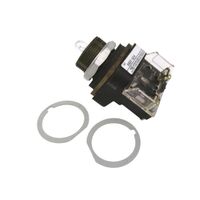 Allen-Bradley 800TQ24 Pilot Light 30.5mm Metal Type 4/13