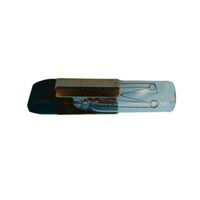 Allen-Bradley 800SN60 Replacement Lamp Accessory