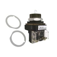 Allen-Bradley 800TQ24 Pilot Light 30.5mm Metal Type 4/13