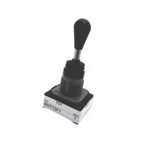 Allen-Bradley 800TT2F1 30mm 2 Way Toggle Switch