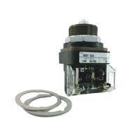 Allen-Bradley 800TQ24 Pilot Light 30.5mm Metal Type 4/13