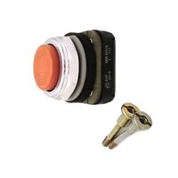 Allen-Bradley 800TB3 Momentary Contact Push Button