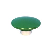 Allen-Bradley 800TN248G Replacement Jumbo Mushroom Cap Green