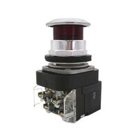 Allen-Bradley 800TFXQH2RA1 Maintained Illuminated Push-Pull Pushbutton