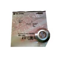 Allen-Bradley 800TN159C 30mm Clear Illuminated Mushroom Head Pushbutton Cap