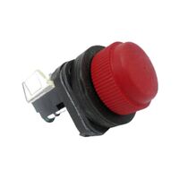 Allen-Bradley 800HR6D2 Momentary Push Button