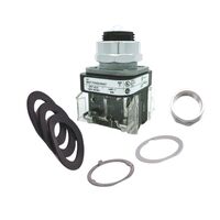 Allen-Bradley 800TFXNQ10XA7 Illuminated Push Button