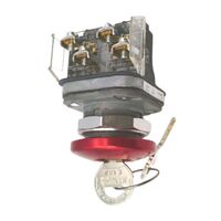 Allen-Bradley 800TE12M6A Mushroom Pushbutton with Cylinder Lock